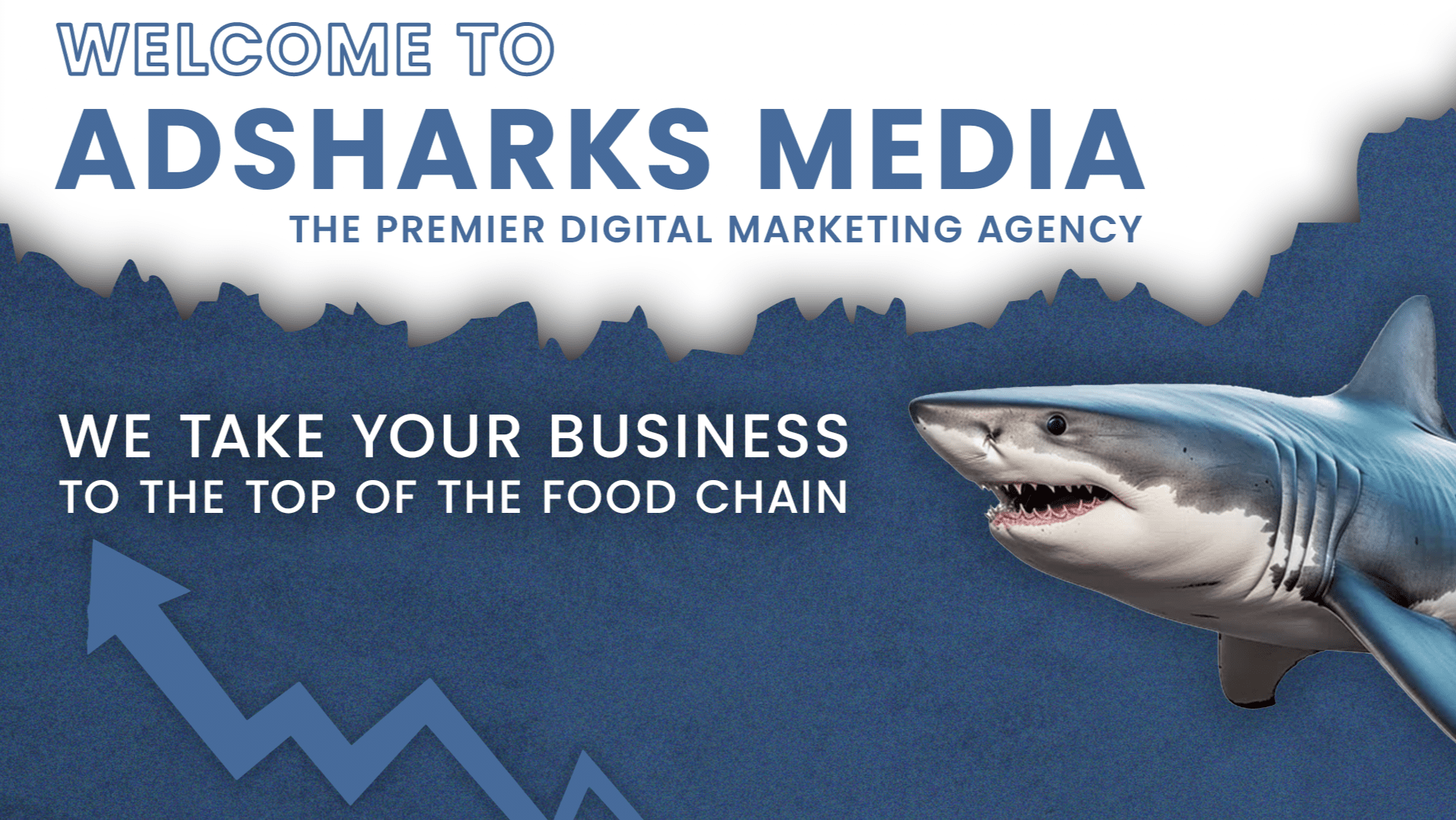 Ad Shark media Banner