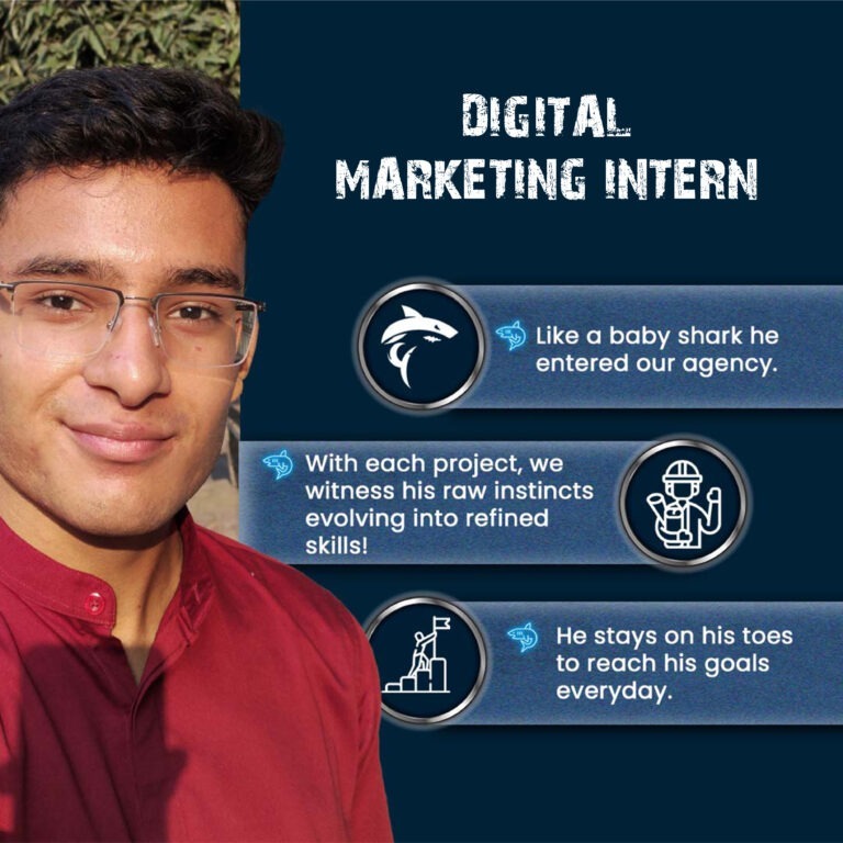 Digital Marketing Intern of best digital Marketing agency in Mumbai